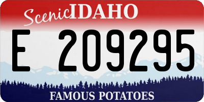 ID license plate E209295
