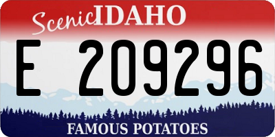 ID license plate E209296