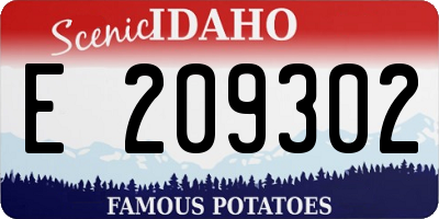 ID license plate E209302