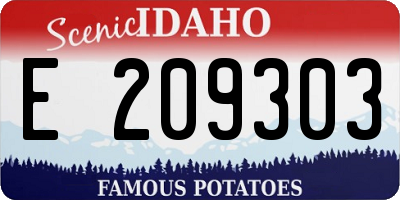 ID license plate E209303