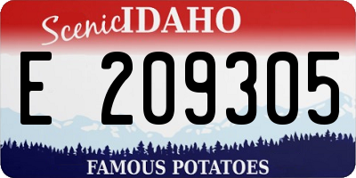 ID license plate E209305