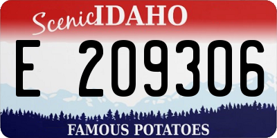 ID license plate E209306
