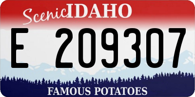 ID license plate E209307