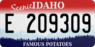 ID license plate E209309
