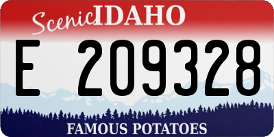 ID license plate E209328