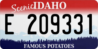 ID license plate E209331