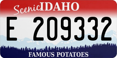 ID license plate E209332
