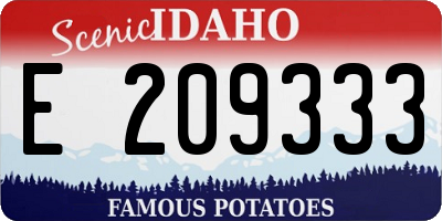 ID license plate E209333