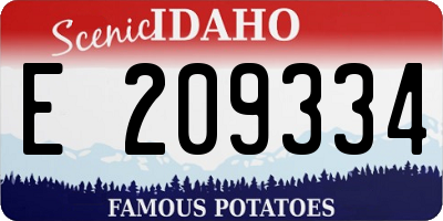 ID license plate E209334