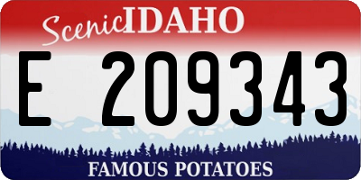 ID license plate E209343