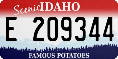 ID license plate E209344