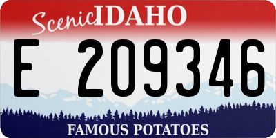 ID license plate E209346