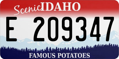 ID license plate E209347