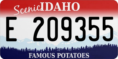 ID license plate E209355