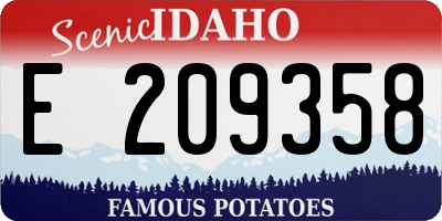 ID license plate E209358