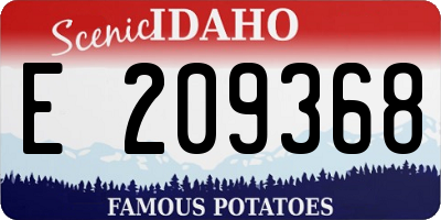 ID license plate E209368