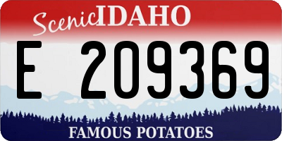 ID license plate E209369