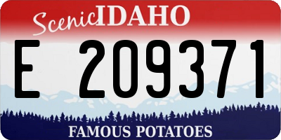 ID license plate E209371