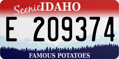 ID license plate E209374