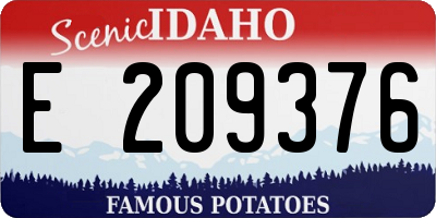 ID license plate E209376