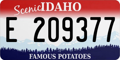 ID license plate E209377