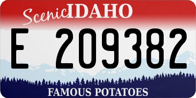 ID license plate E209382