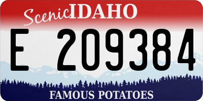 ID license plate E209384