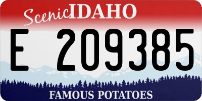 ID license plate E209385