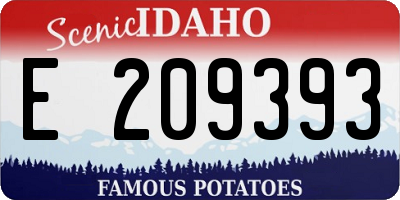 ID license plate E209393