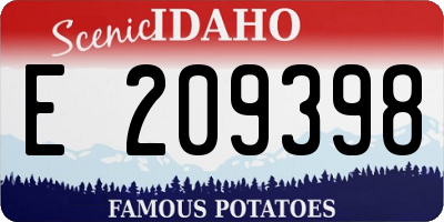 ID license plate E209398