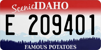 ID license plate E209401