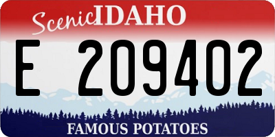 ID license plate E209402