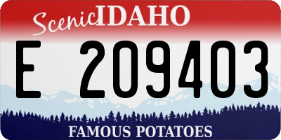 ID license plate E209403