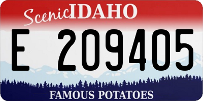ID license plate E209405