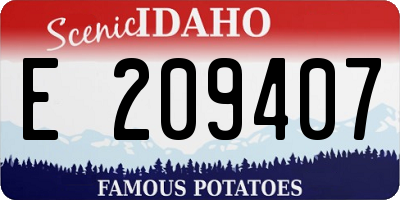 ID license plate E209407