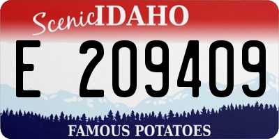 ID license plate E209409