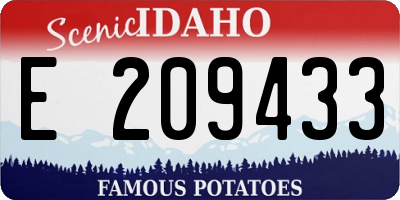 ID license plate E209433