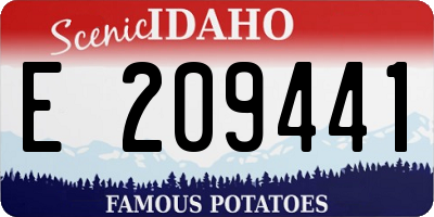 ID license plate E209441