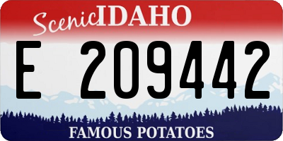 ID license plate E209442