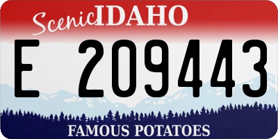 ID license plate E209443