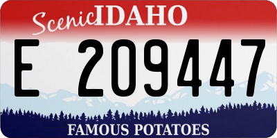 ID license plate E209447
