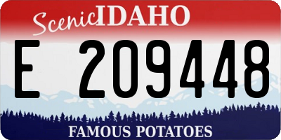 ID license plate E209448