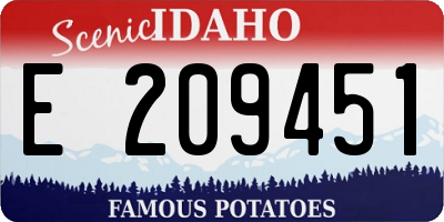 ID license plate E209451