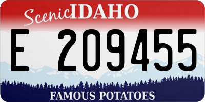 ID license plate E209455