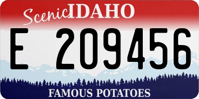 ID license plate E209456