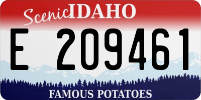 ID license plate E209461