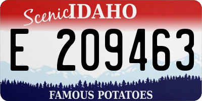 ID license plate E209463