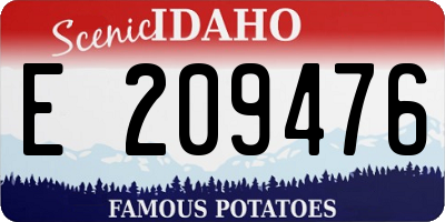 ID license plate E209476