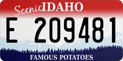 ID license plate E209481