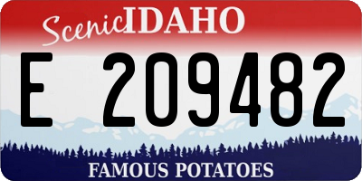 ID license plate E209482